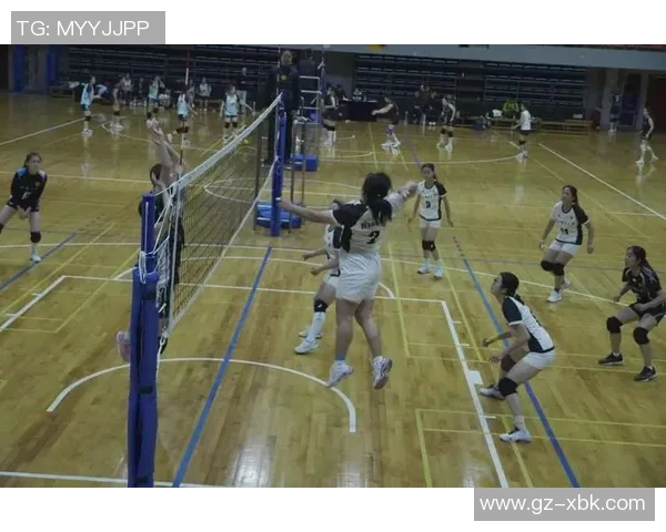 排球战术：上海排球队的转换体系