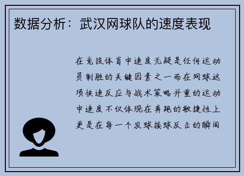 数据分析：武汉网球队的速度表现