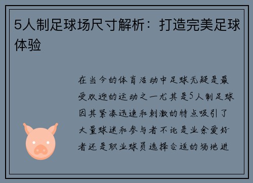 5人制足球场尺寸解析：打造完美足球体验