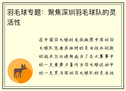 羽毛球专题：聚焦深圳羽毛球队的灵活性