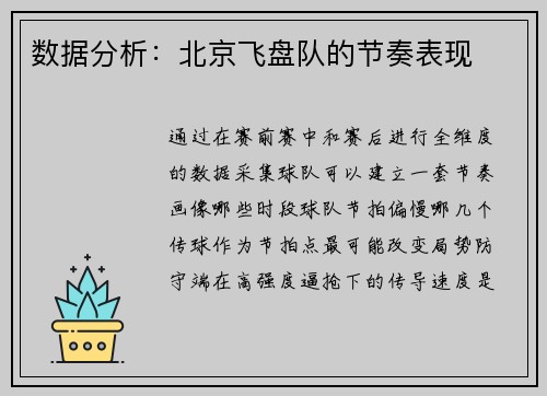 数据分析：北京飞盘队的节奏表现