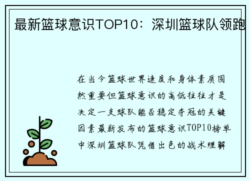 最新篮球意识TOP10：深圳篮球队领跑